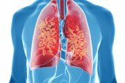 COPD, Lungs