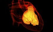heart disease, atrial fibrillation, heart health, heart attack, niacin